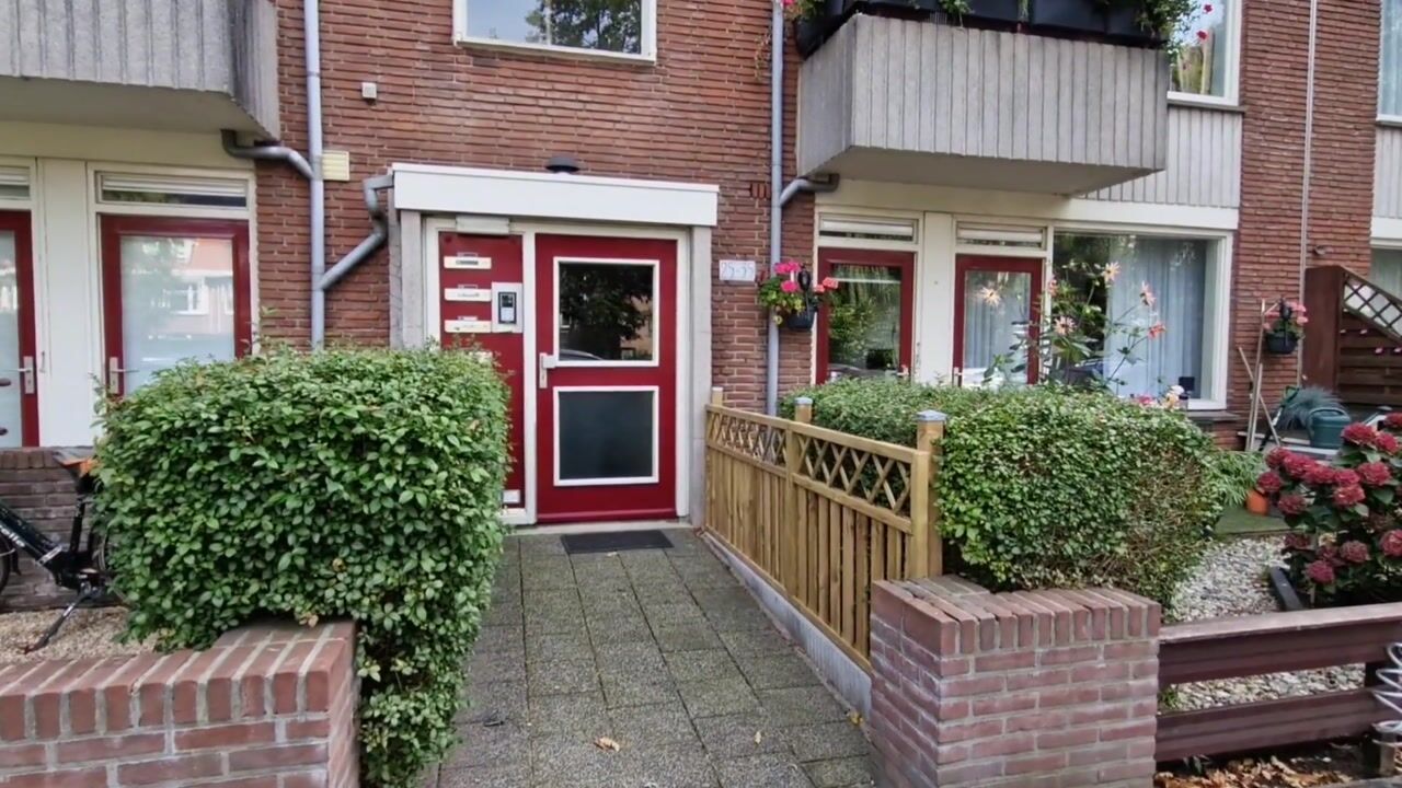 Video van Frans Halskade 29