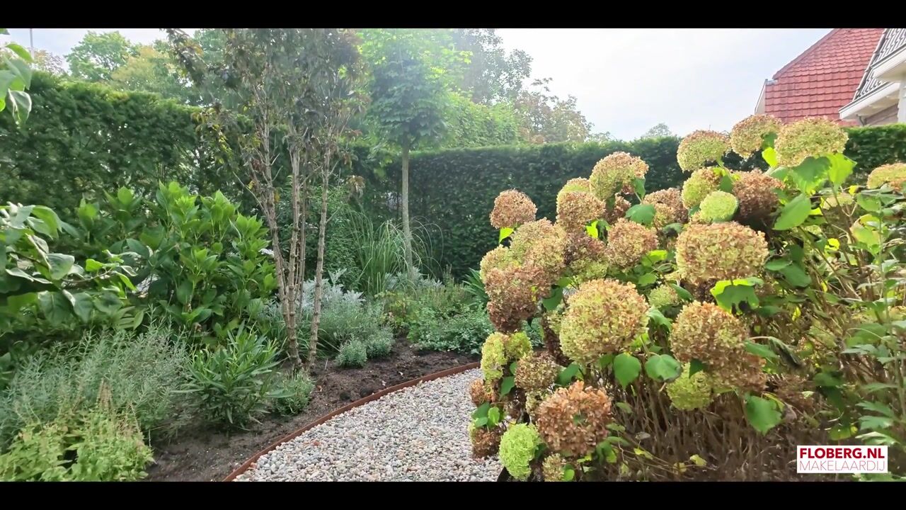 Video van Ceintuurbaan 50