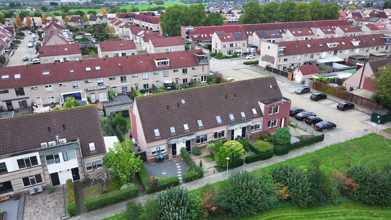 Video van Ganzerik 10