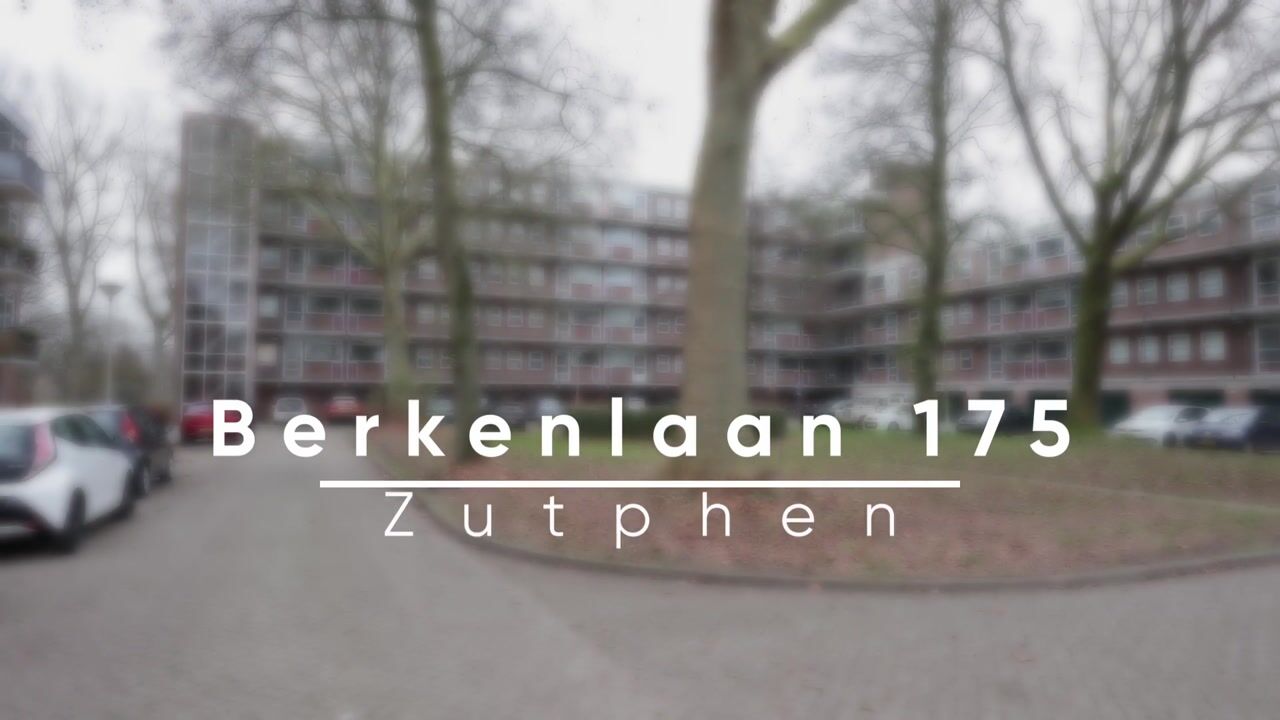 Video van Berkenlaan 175