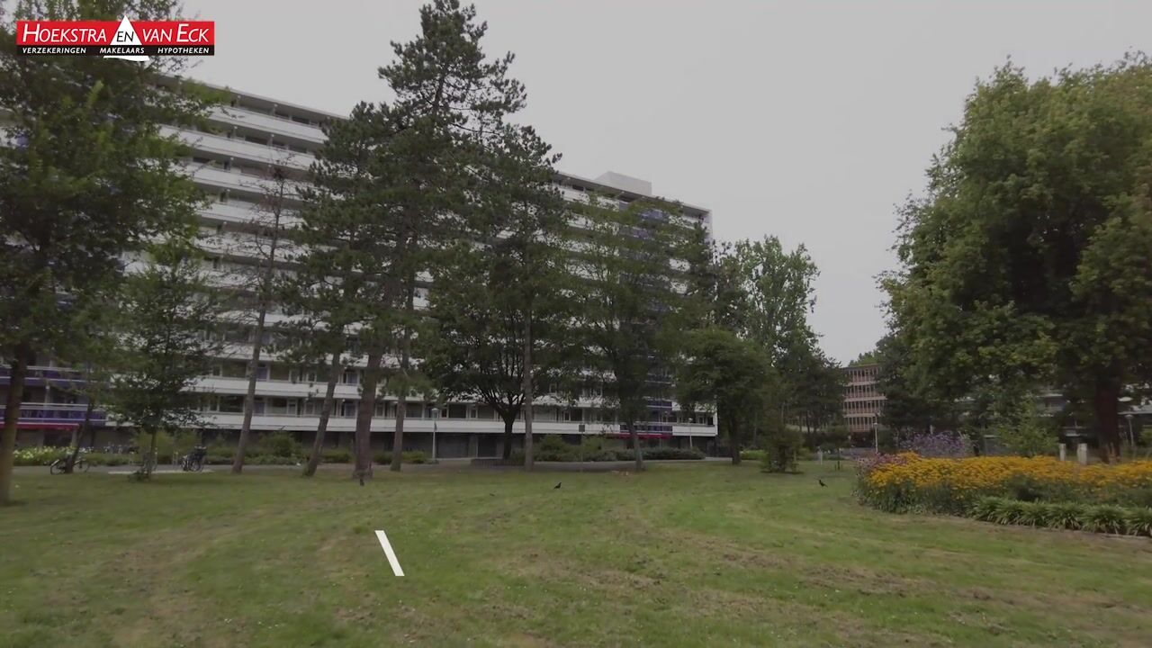 Video van Spinnekop 80