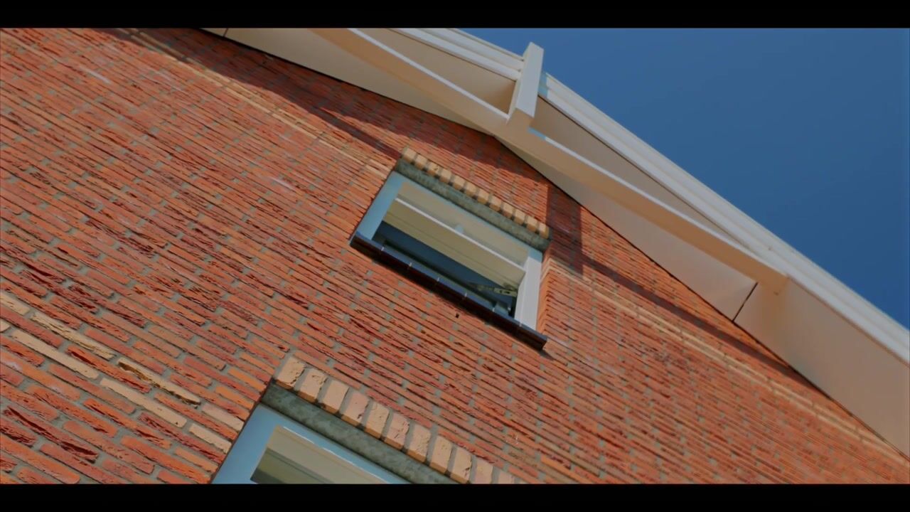 Video of Bonenakker 42