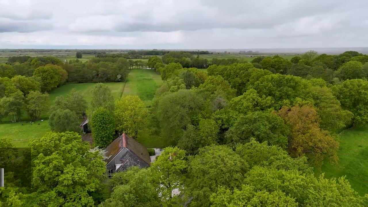Video of Hooiweg 228