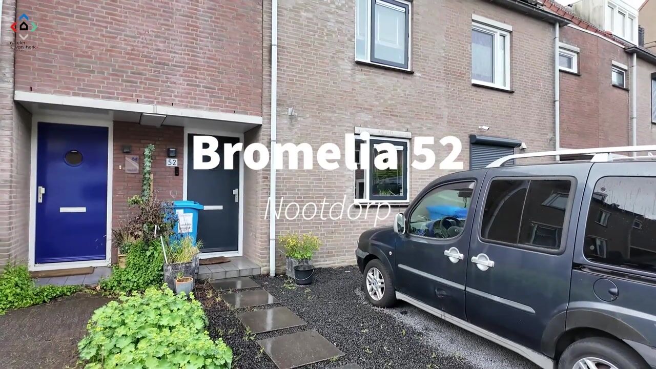 Video van Bromelia 52