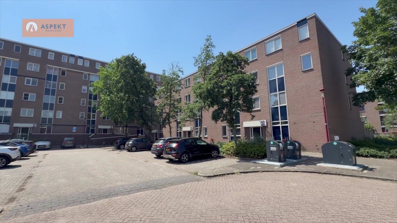 Video van Kribbemonde 91
