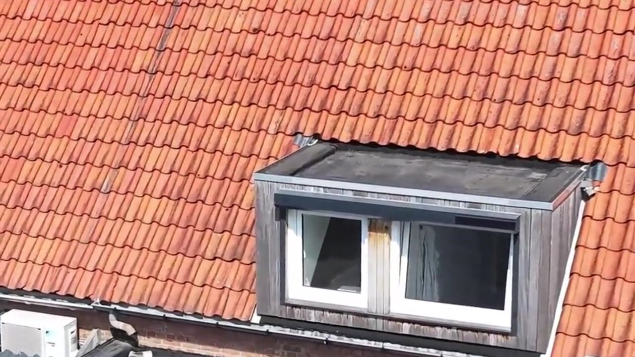 Video van Ridderstraat 60