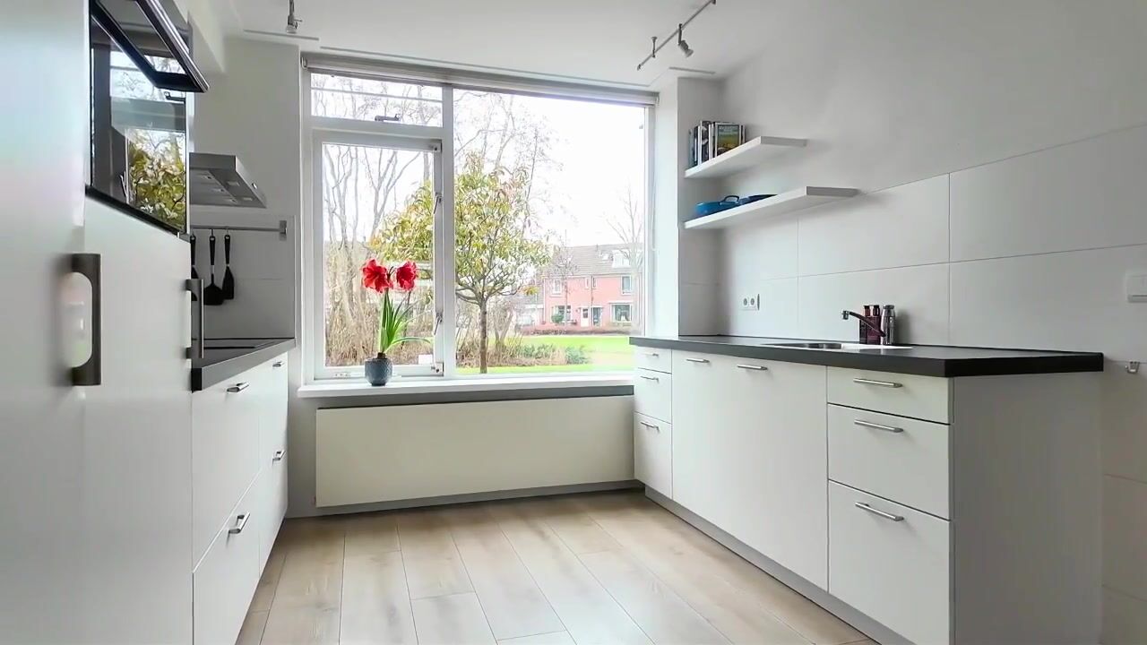 Video van De Halve Roe 87