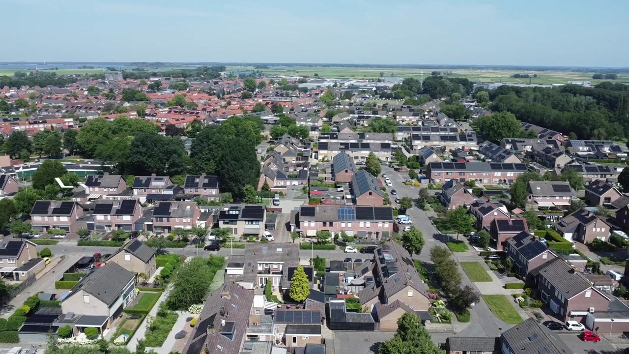 Video of Lijster 19