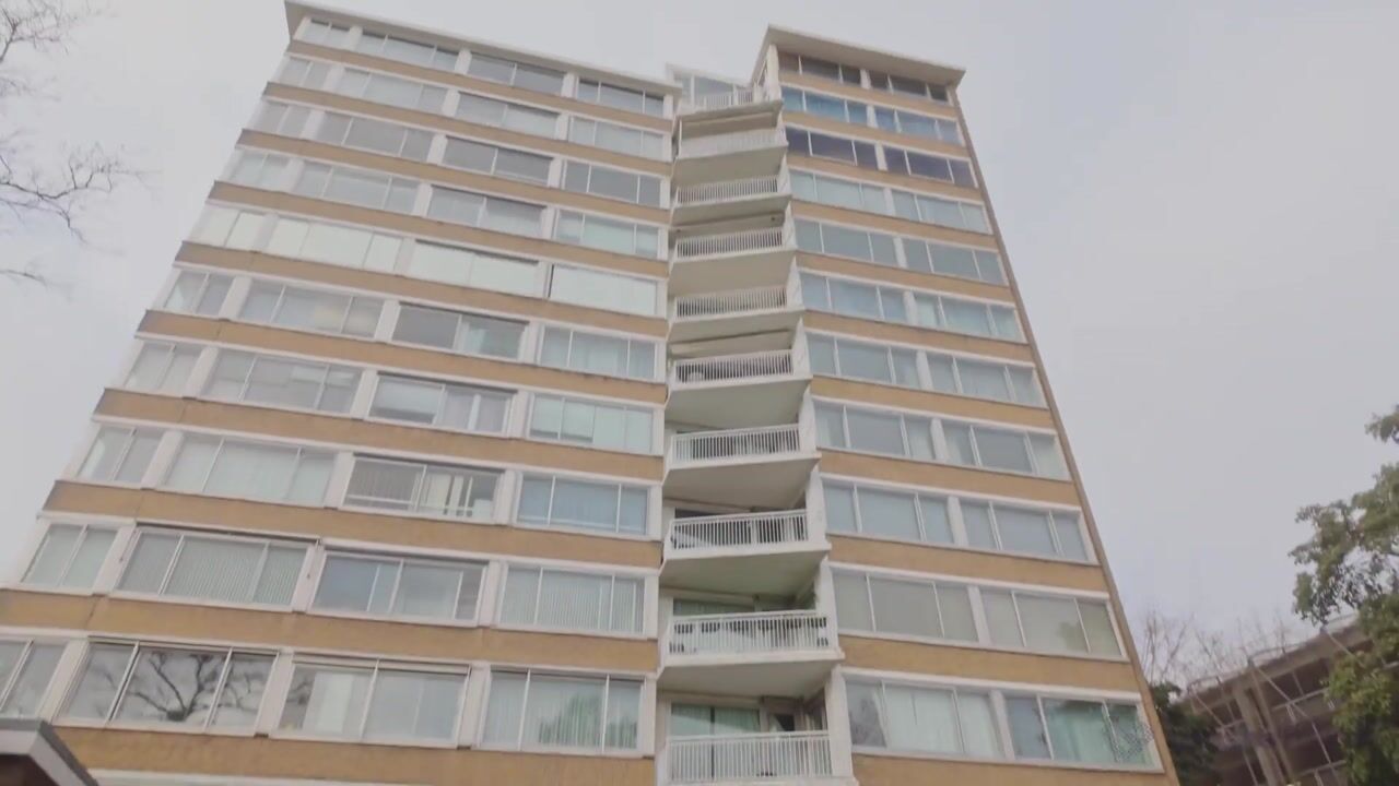 Video van Meander 65