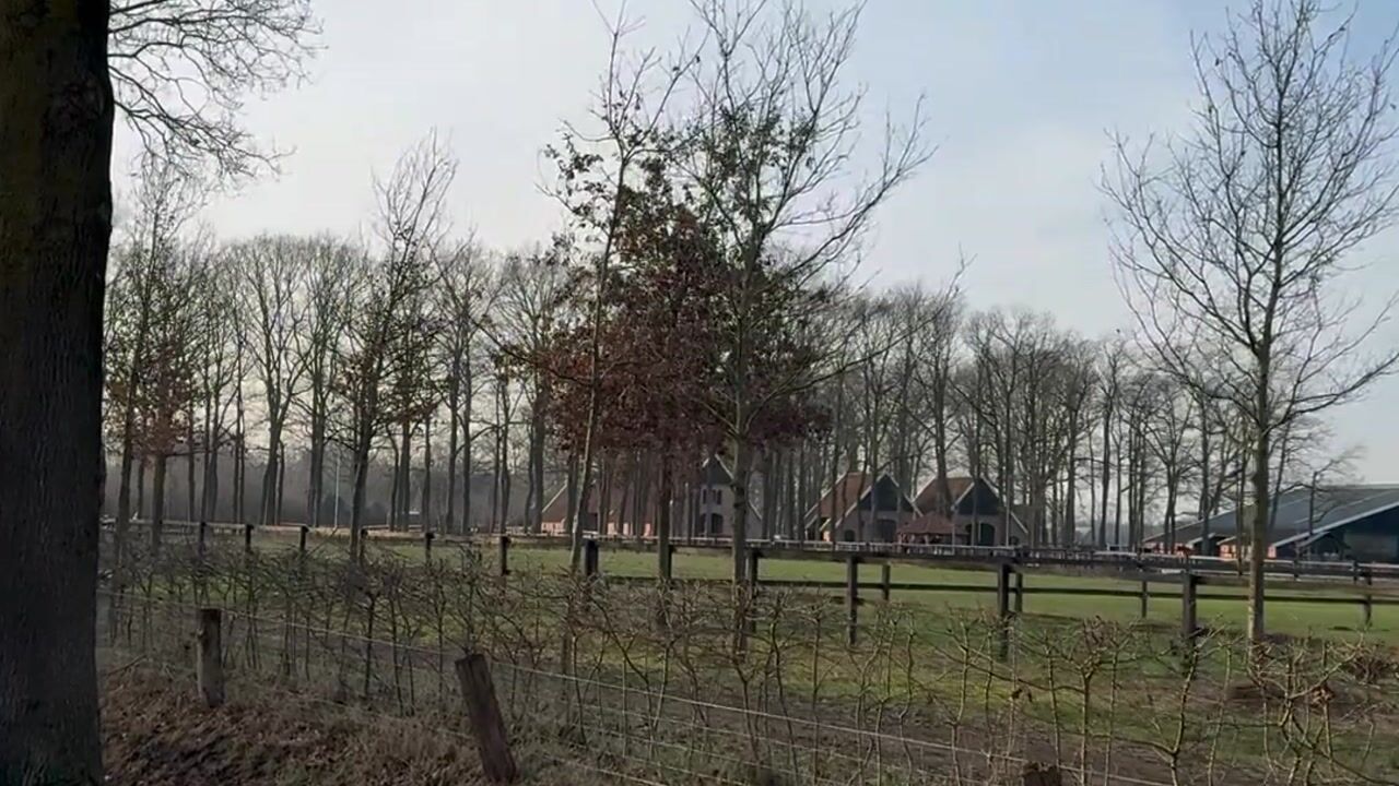 Video van Zevenblad 20