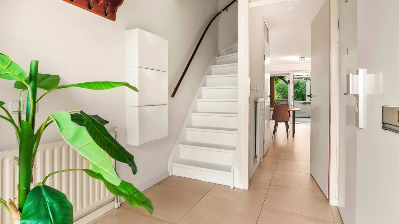 Video of De Zeiler 94