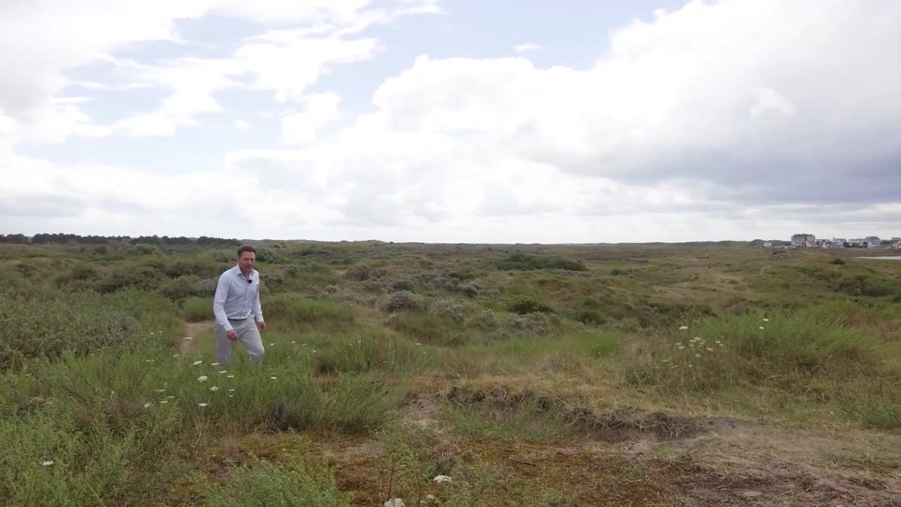 Video van Cort van der Lindenstraat 12