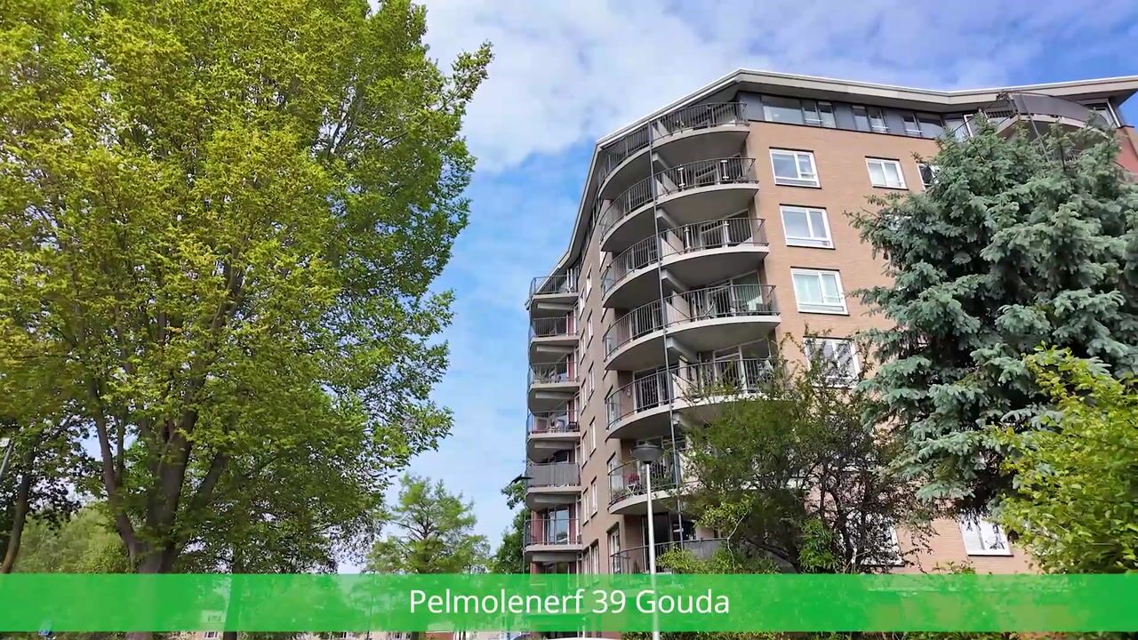 Video van Pelmolenerf 39