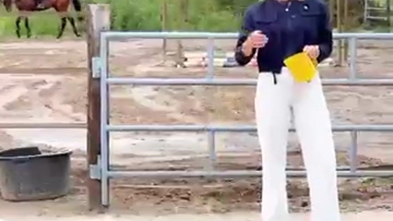 Video of Ieswei 35