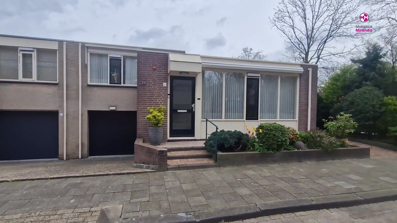 Video van Aalscholver 9