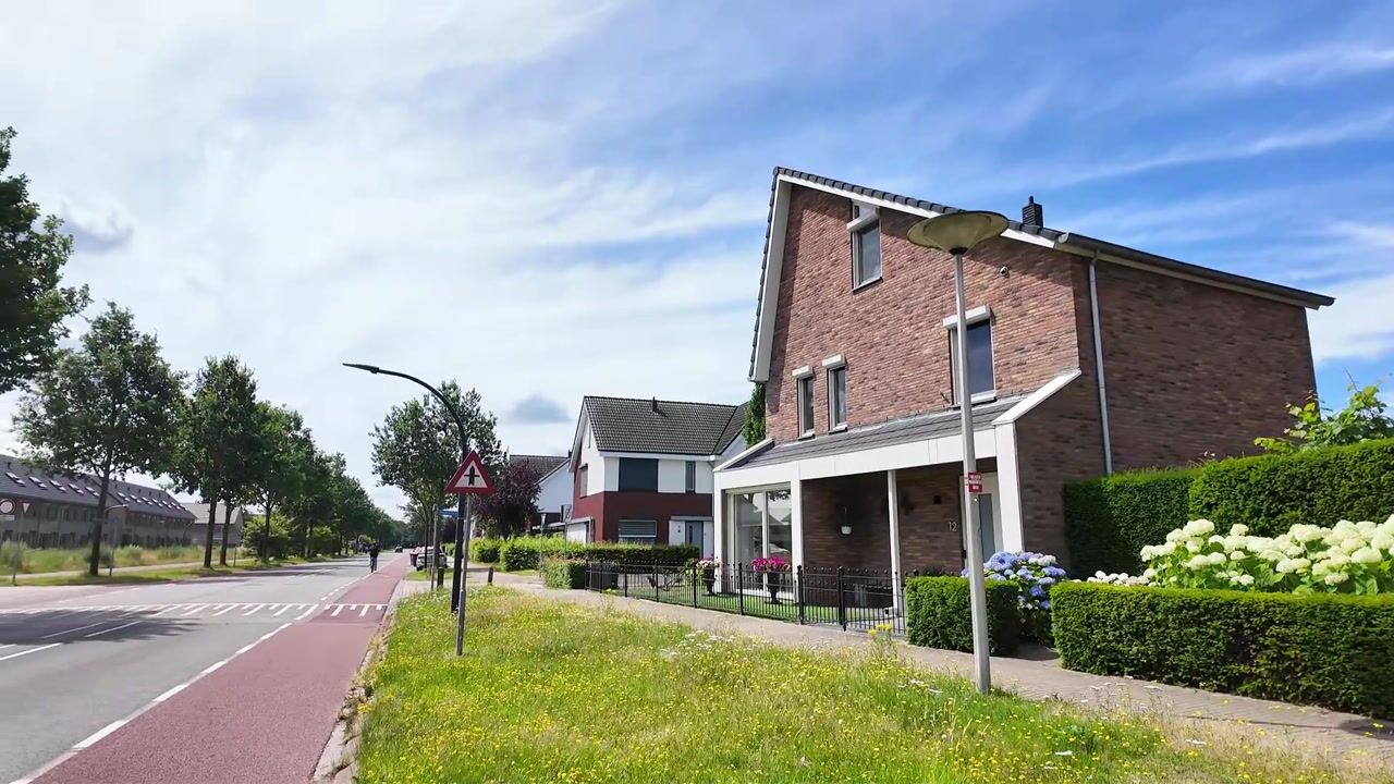 Video van Heidevlinder 12