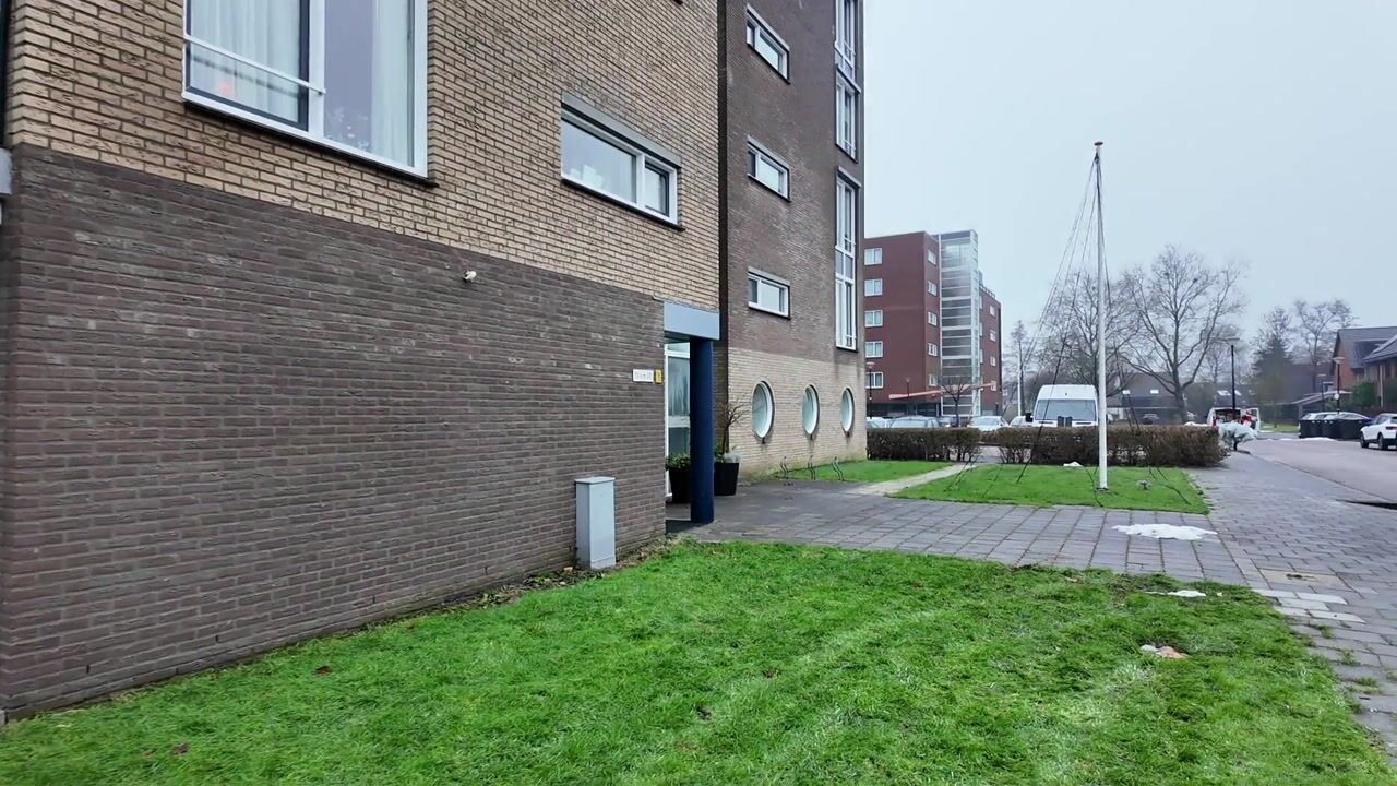 Video van Weegbree 105