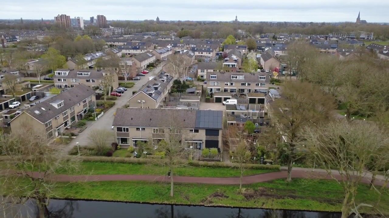 Video van Fluitekruid 13