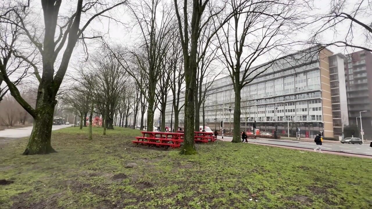 Video of Nicolaas Anslijnstraat 71