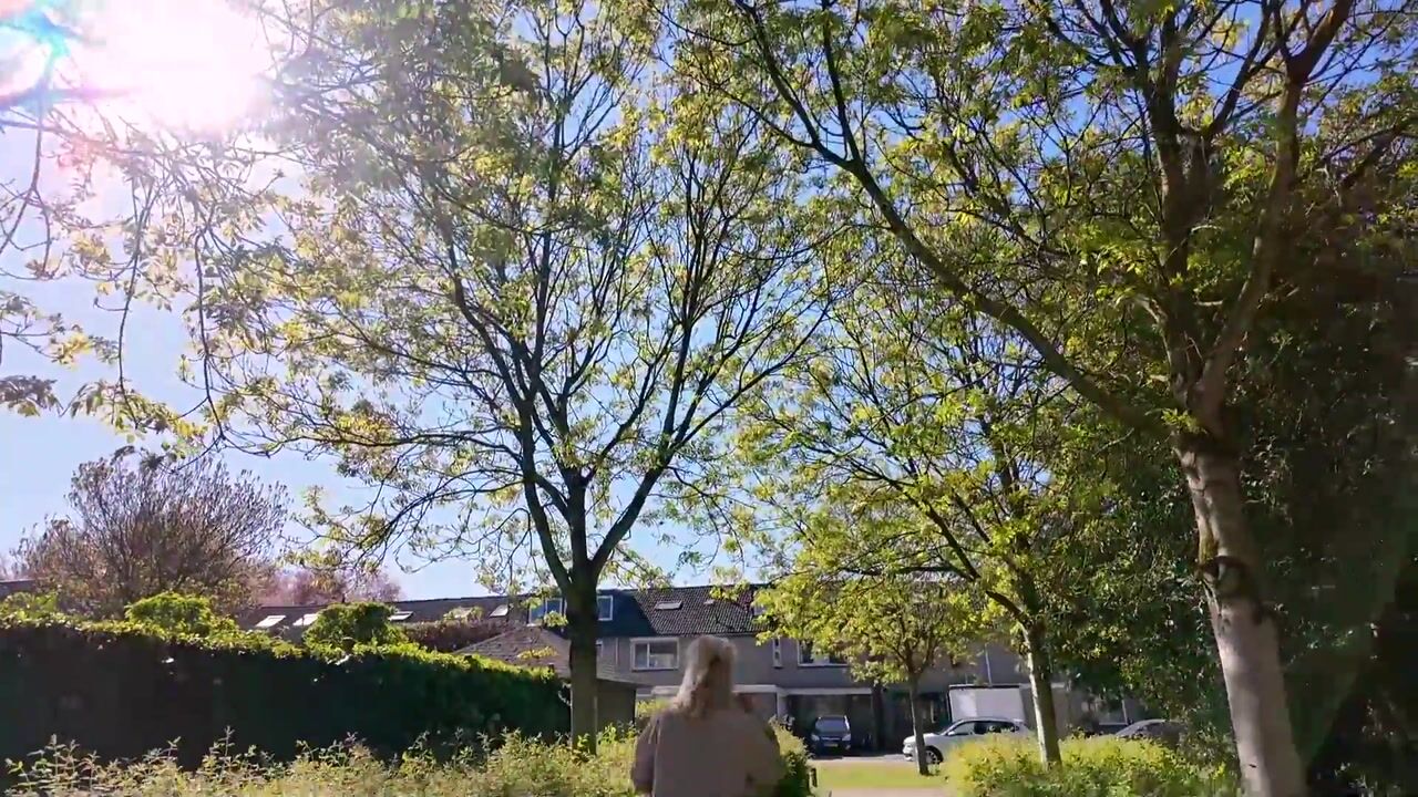 Video van Blauwe Hof 7117