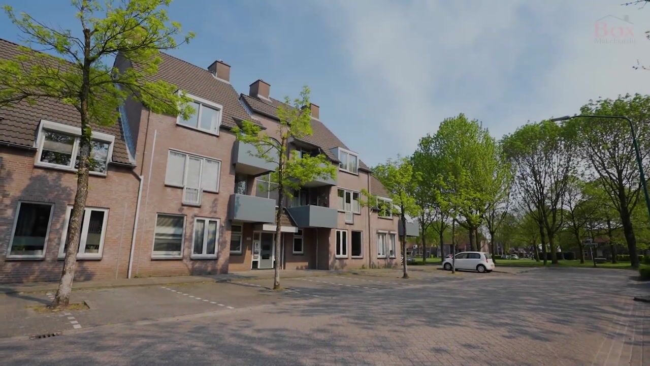Video van Schapendries 49