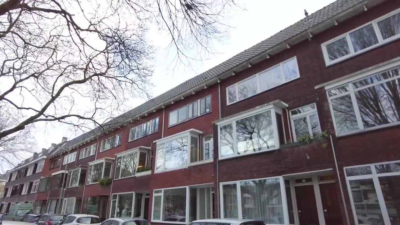 Bekijk video van Buys Ballotsingel 67