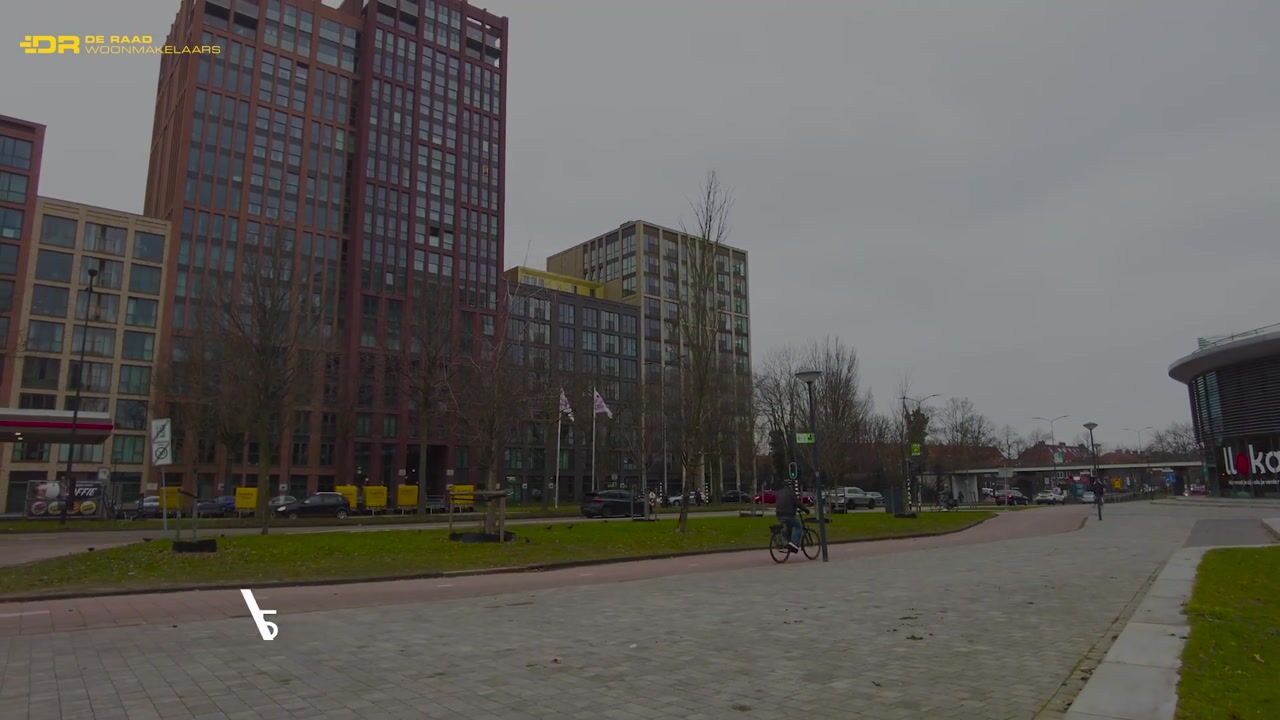 Video of Mangoweg 175