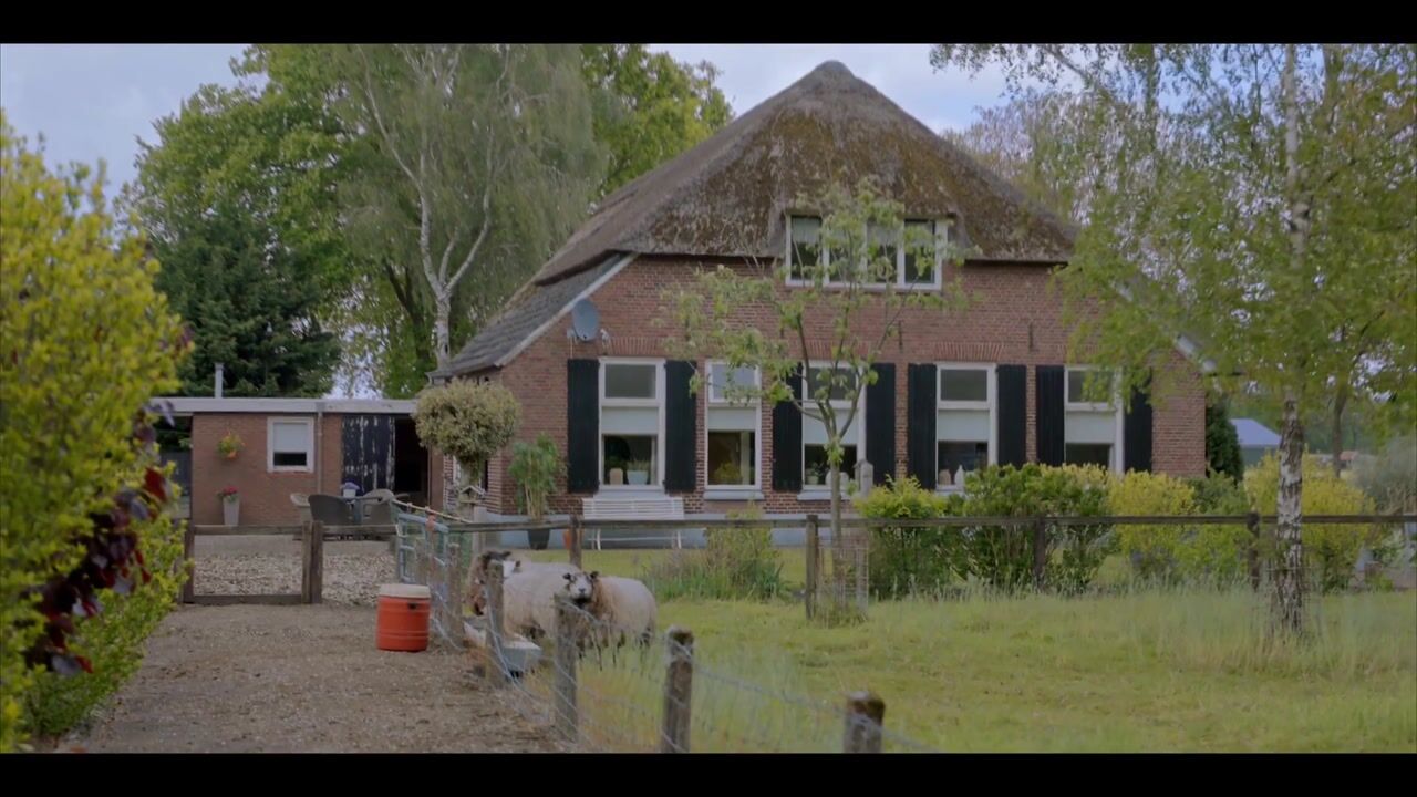 Video van Maneschijnsweg 29
