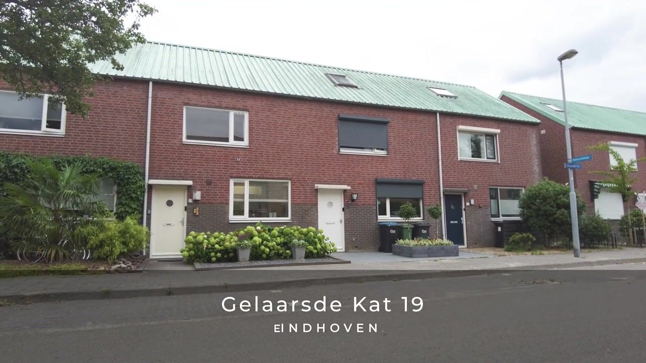 Video van Gelaarsde Kat 19