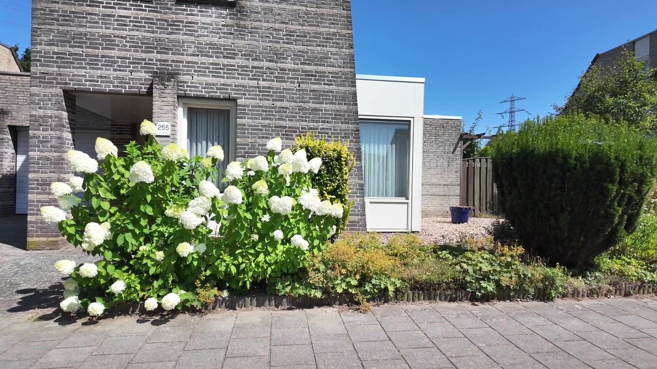Video van Egstraat 255