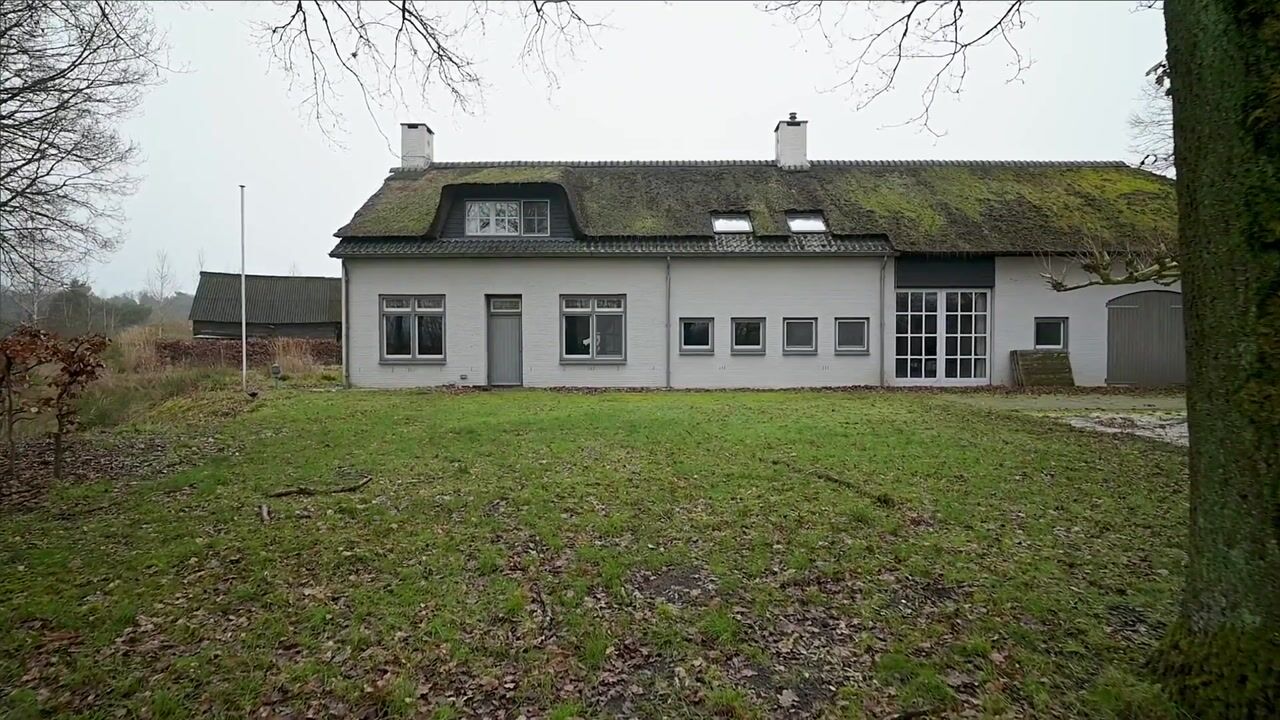 Video van Witrijtseweg 18