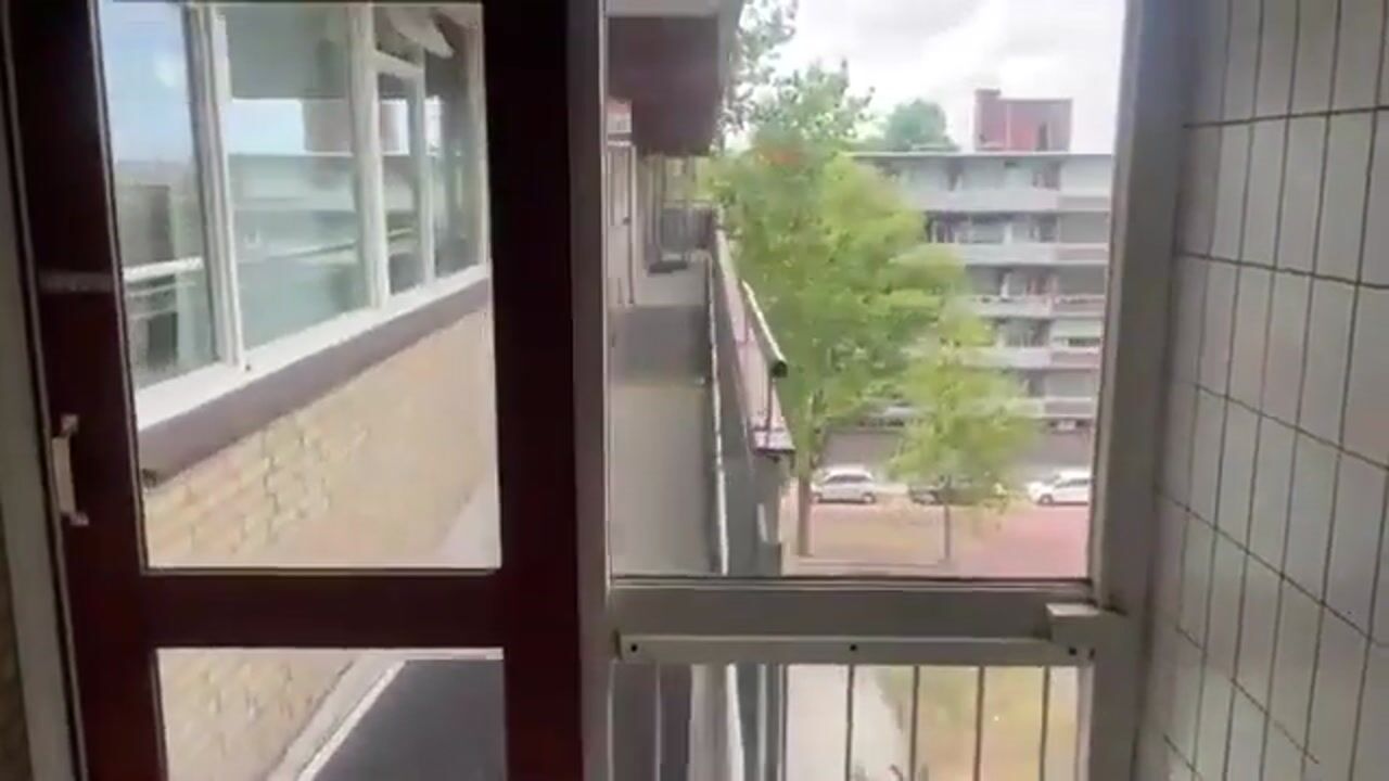 Video van Nieuwendamlaan 128
