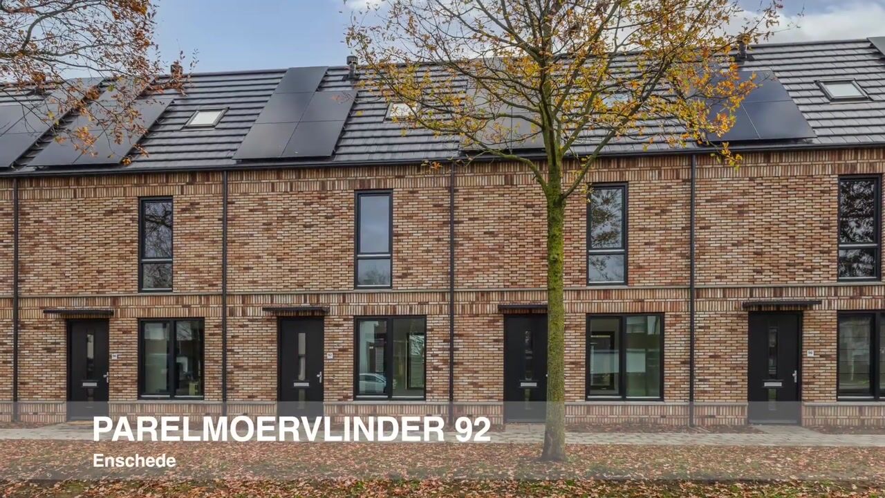 Video of Parelmoervlinder 92