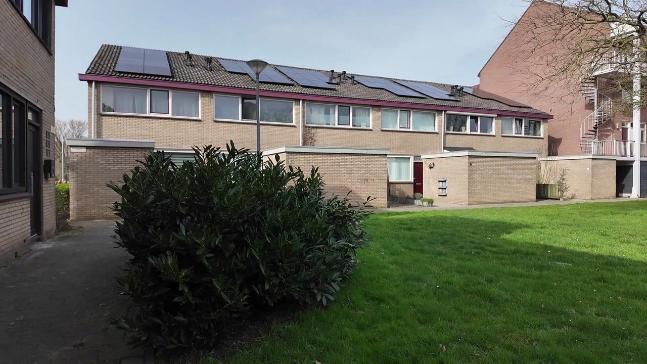 Video of Halve Morgen 49