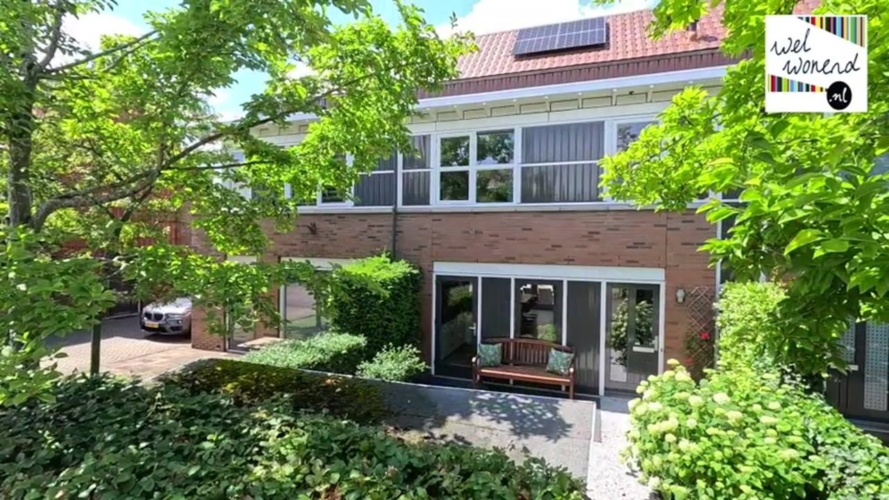 Video van Pijlstaartvlinder 18