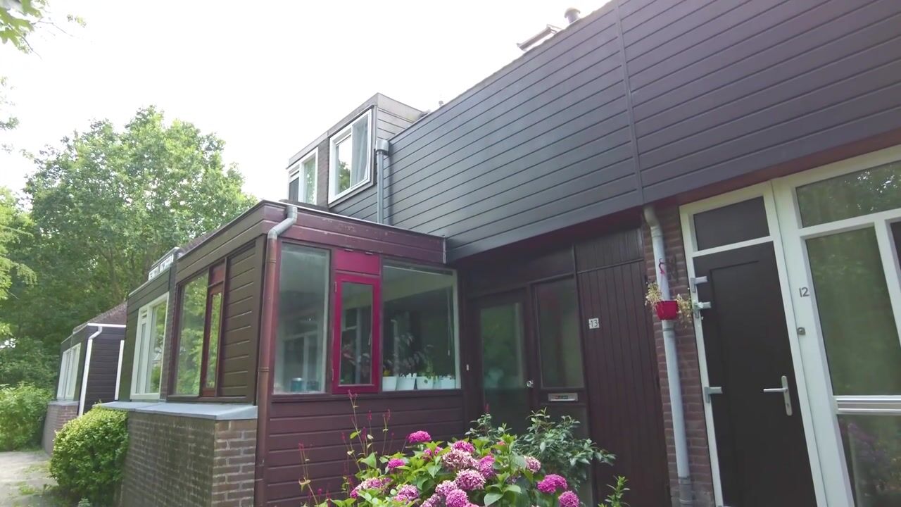 Video van Heelblaadjespad 13
