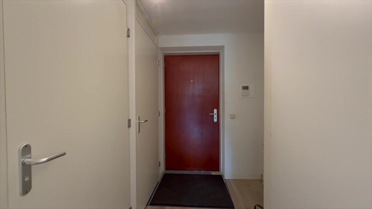 Video van Librijesteeg 239