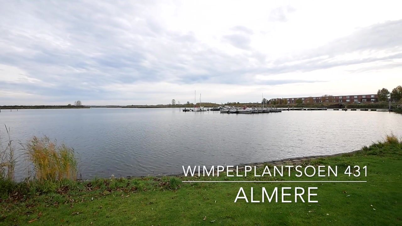 Video van Wimpelplantsoen 431