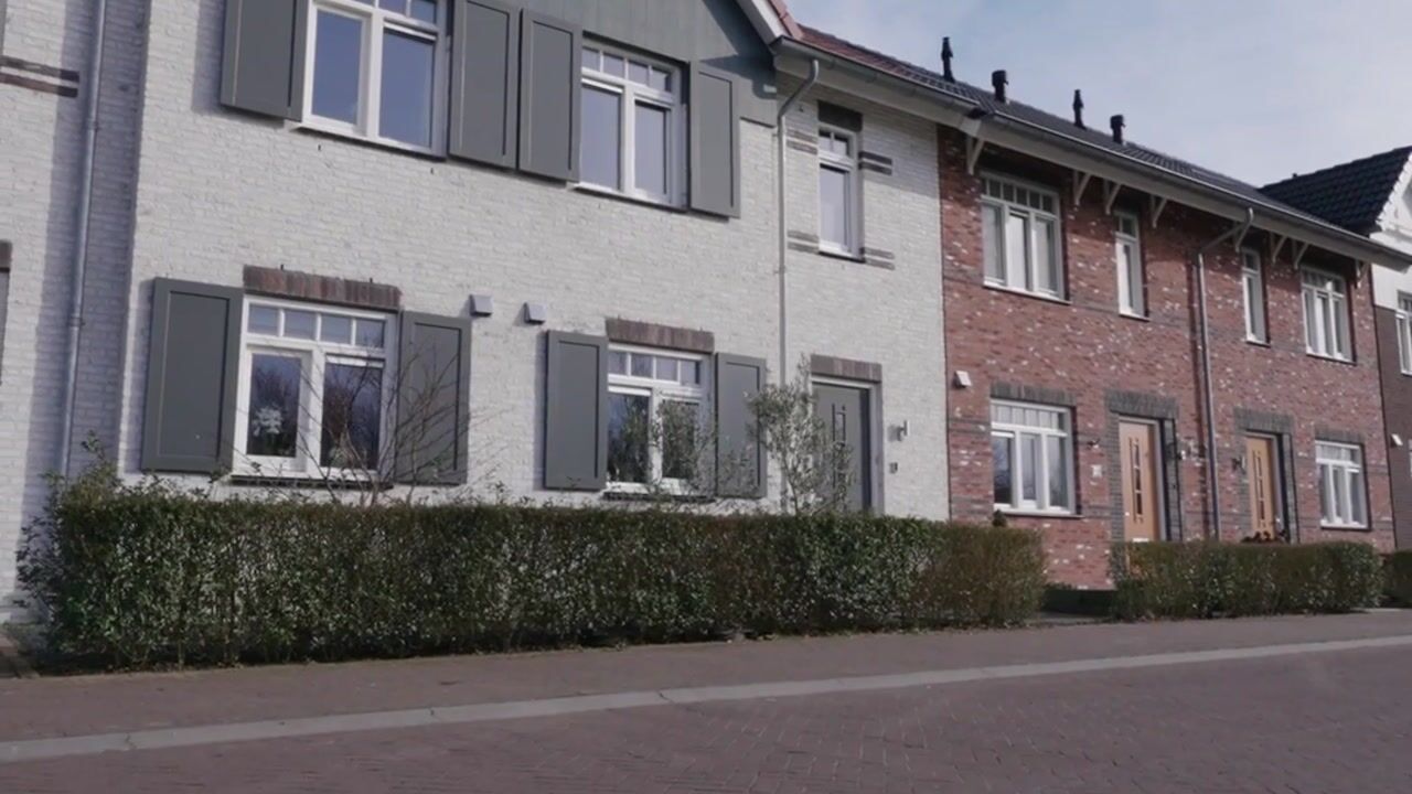 Video of Avondroodvlinder 46