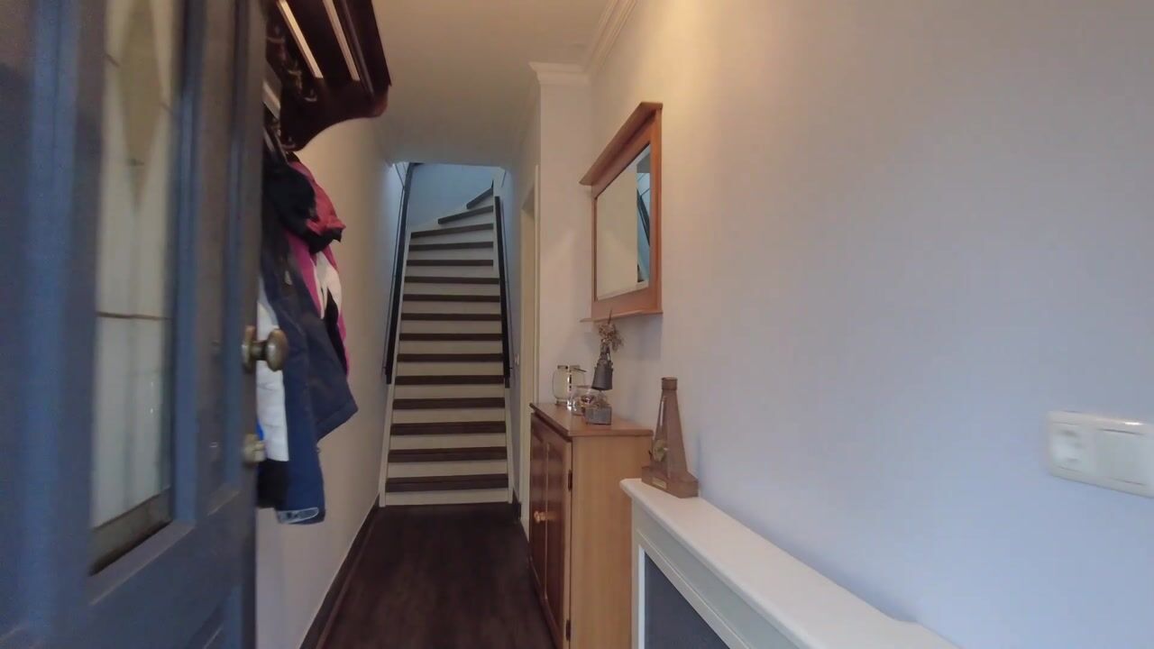 Video van Berfloweg 217