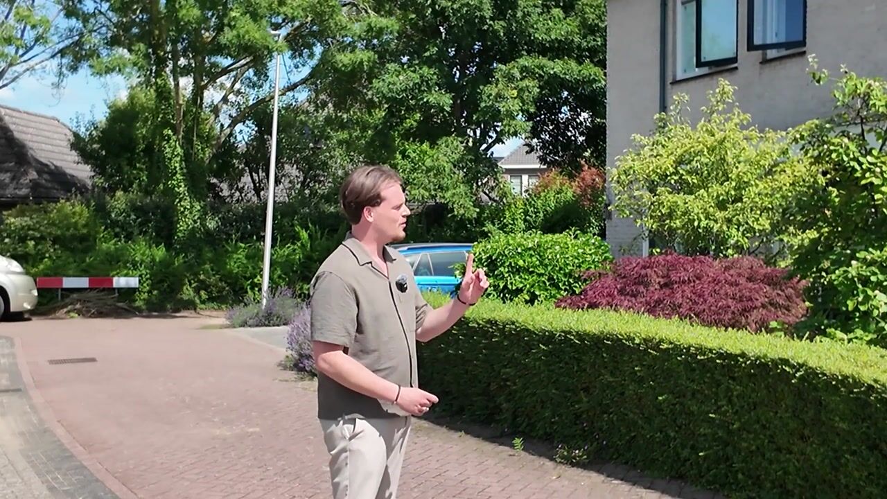 Video of Holenduif 3