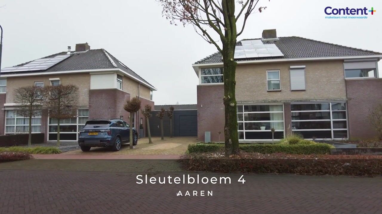 Video van Sleutelbloem 4