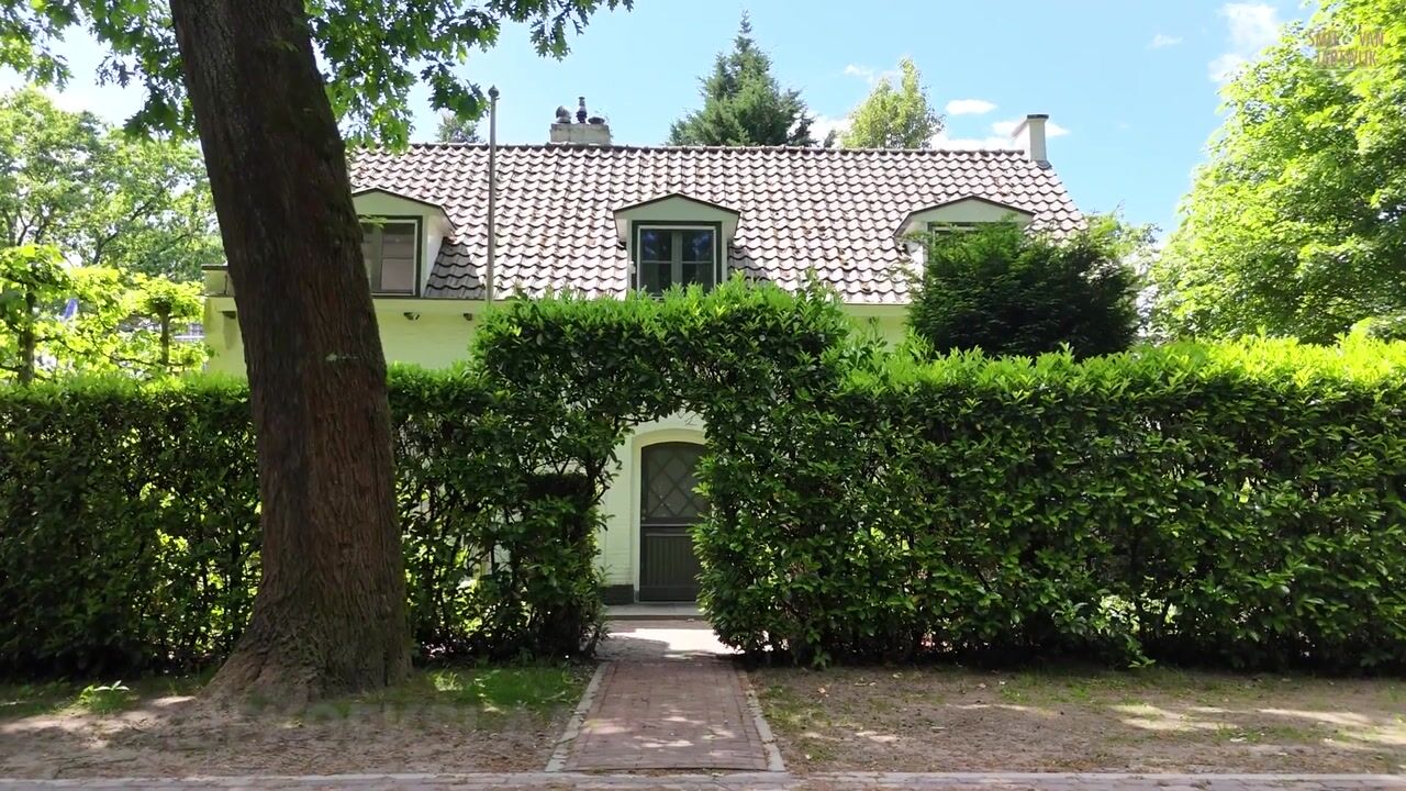 Video van Koekoekslaan 2