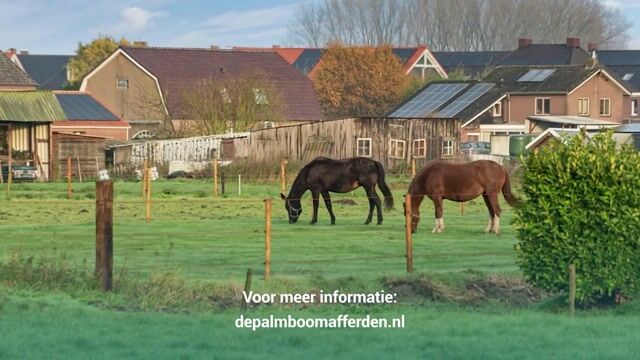 Bekijk video van De Palmboom