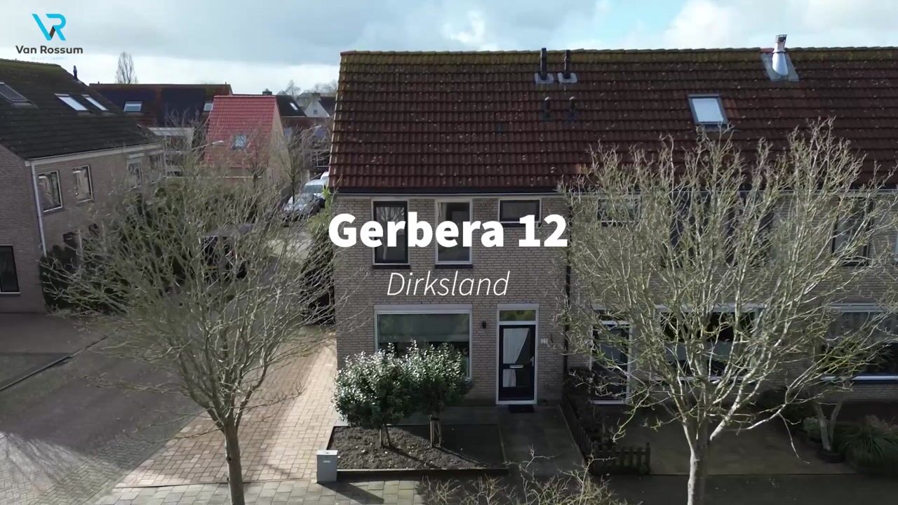 Video van Gerbera 12