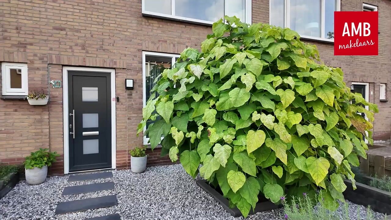 Video van Van Asbeckstraat 10