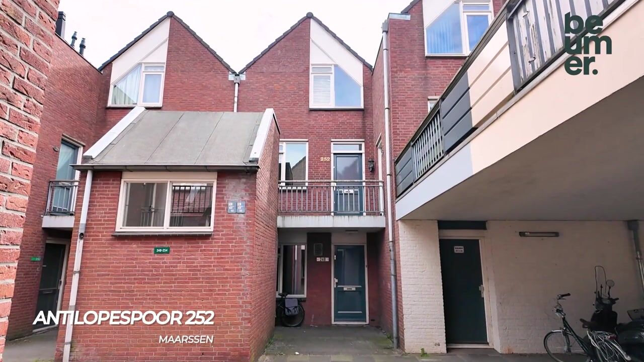 Video van Antilopespoor 252