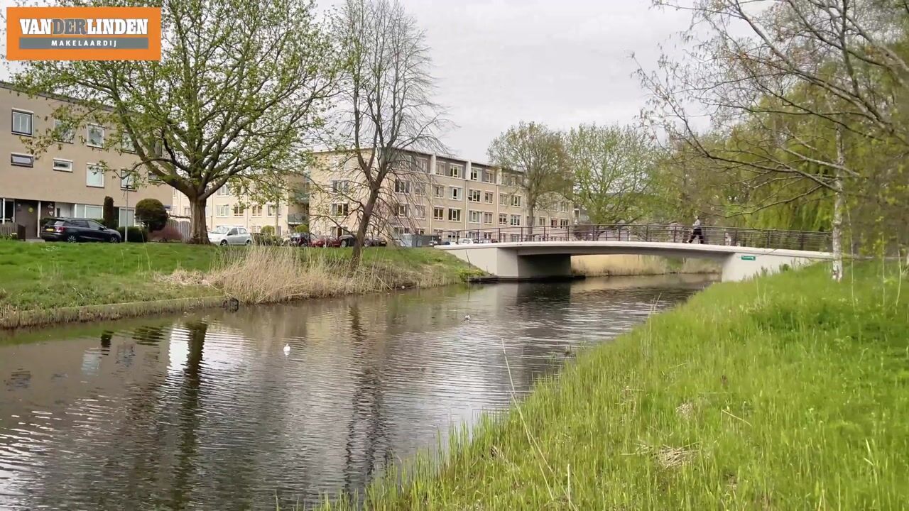 Video van Salsastraat 149