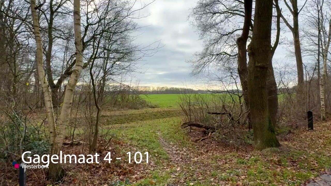 Bekijk video van Gagelmaat 4-101