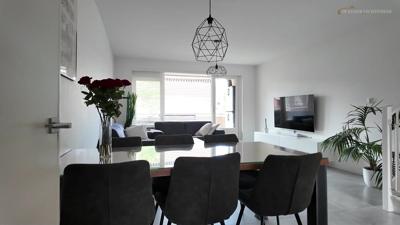 Video van Antilopespoor 283
